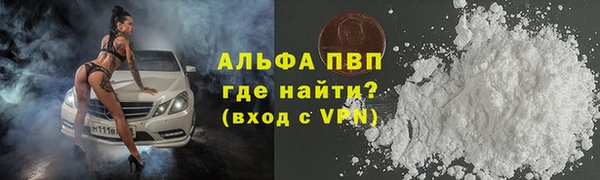 PSILOCYBIN Лихославль