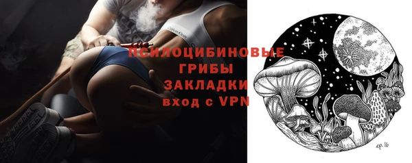 PSILOCYBIN Лихославль
