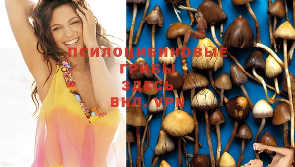 PSILOCYBIN Лихославль