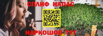 сатива Жуковский
