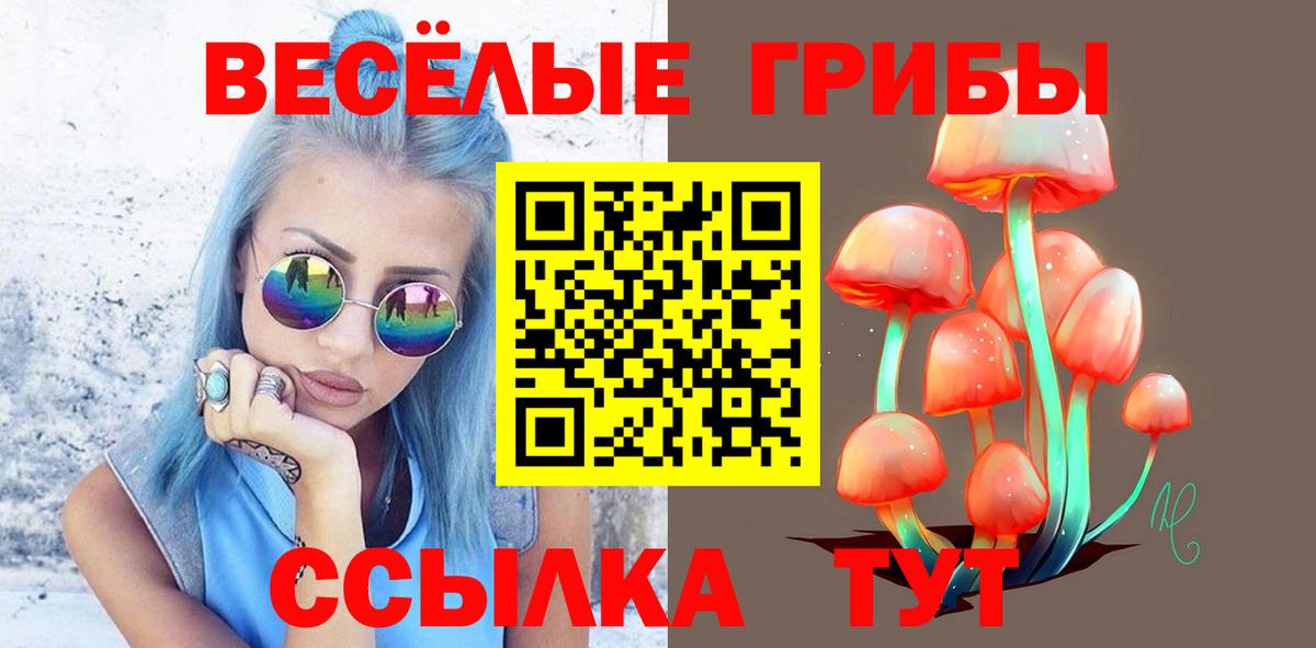 Галлюциногенные грибы прущие грибы Новомосковск